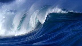 国产特写视频网站大全