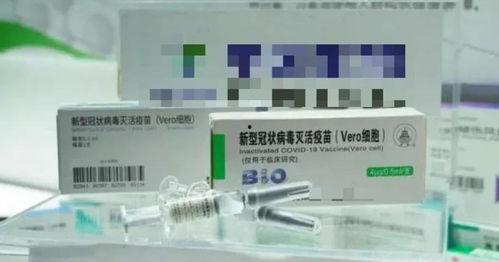 国产牛疫苗视频,守护畜牧健康，助力乡村振兴  第1张