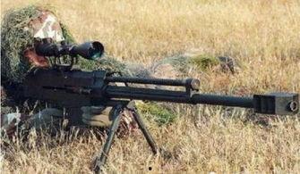 国产狙击枪视频大全,揭秘我国狙击利器  第2张