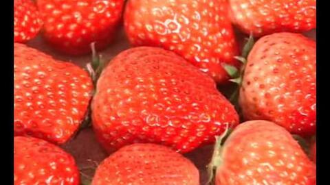 国产草莓视频无码A下载,一场视觉盛宴的探索之旅  第1张