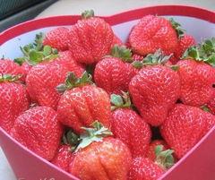 国产草莓视频无码A下载,一场视觉盛宴的探索之旅  第3张