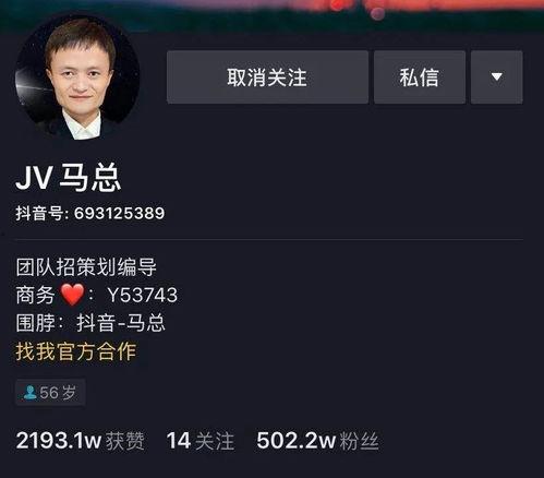 国产名人视频网,聚焦国内明星风采，尽享视听盛宴  第3张